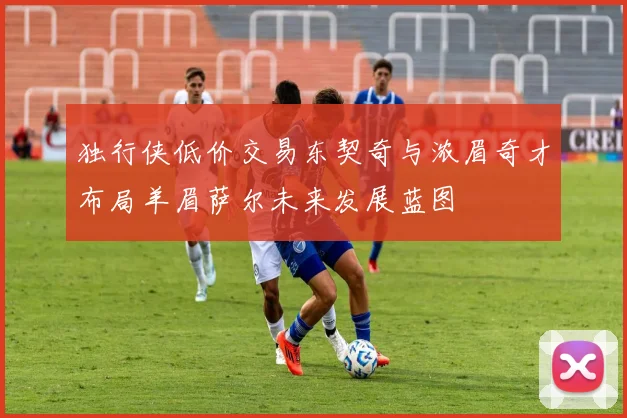 独行侠低价交易东契奇与浓眉奇才布局羊眉萨尔未来发展蓝图