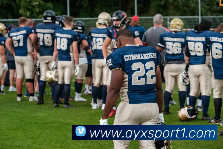 爱游戏体育发展历程